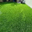 Artificial_Grass_Carpet_c51b499217.webp