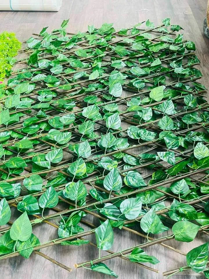 WhatsApp Image 2026-02-10 at 12.55.14.webp