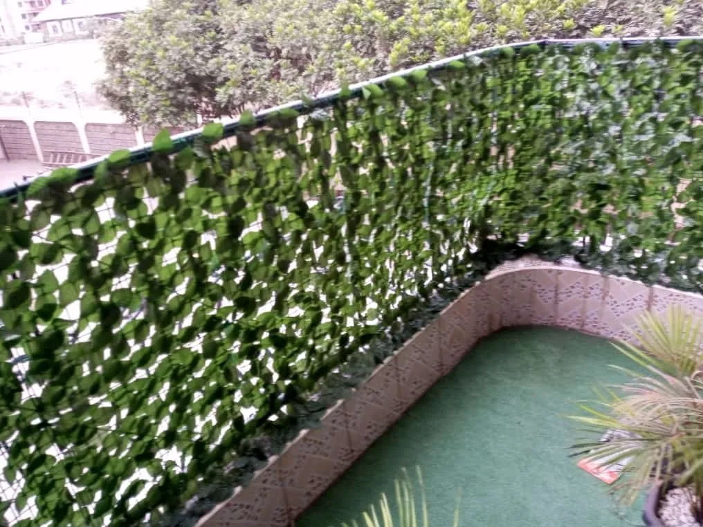 WhatsApp Image 2026-02-10 at 12.55.11.webp