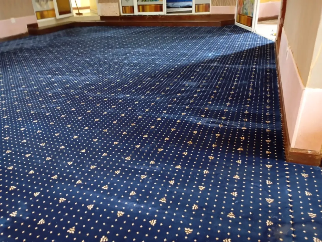 Executive/Presidential Carpets